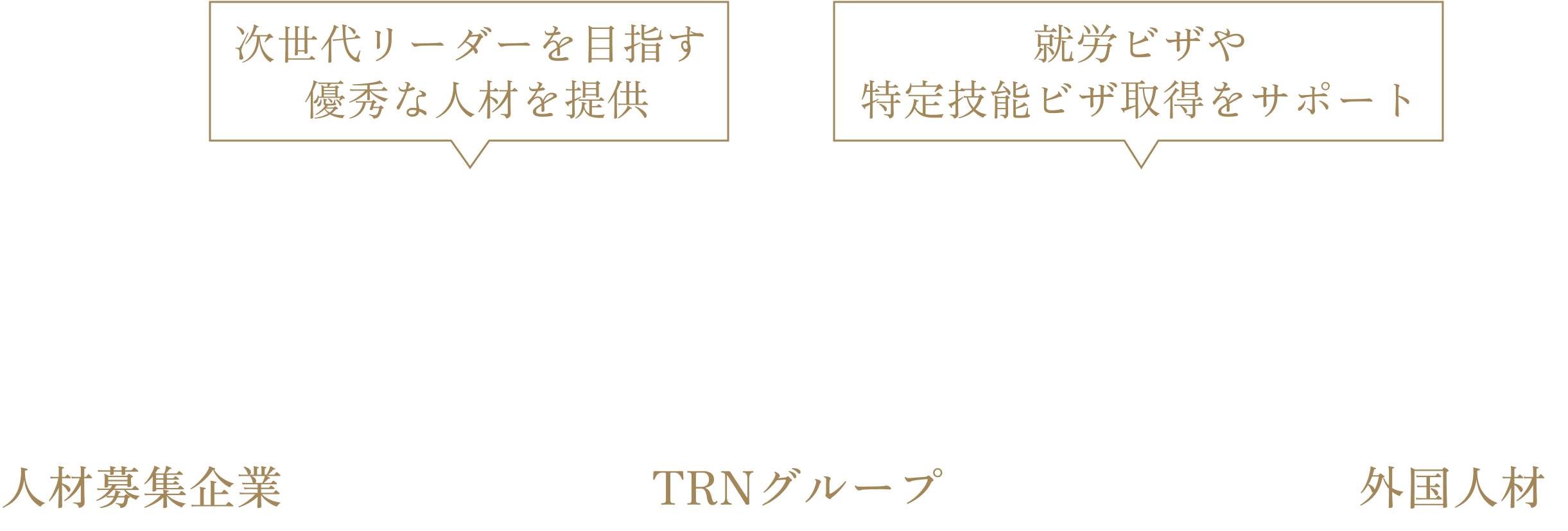 外国人材採用支援の画像